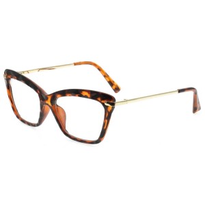 Plastic Reading Glasses